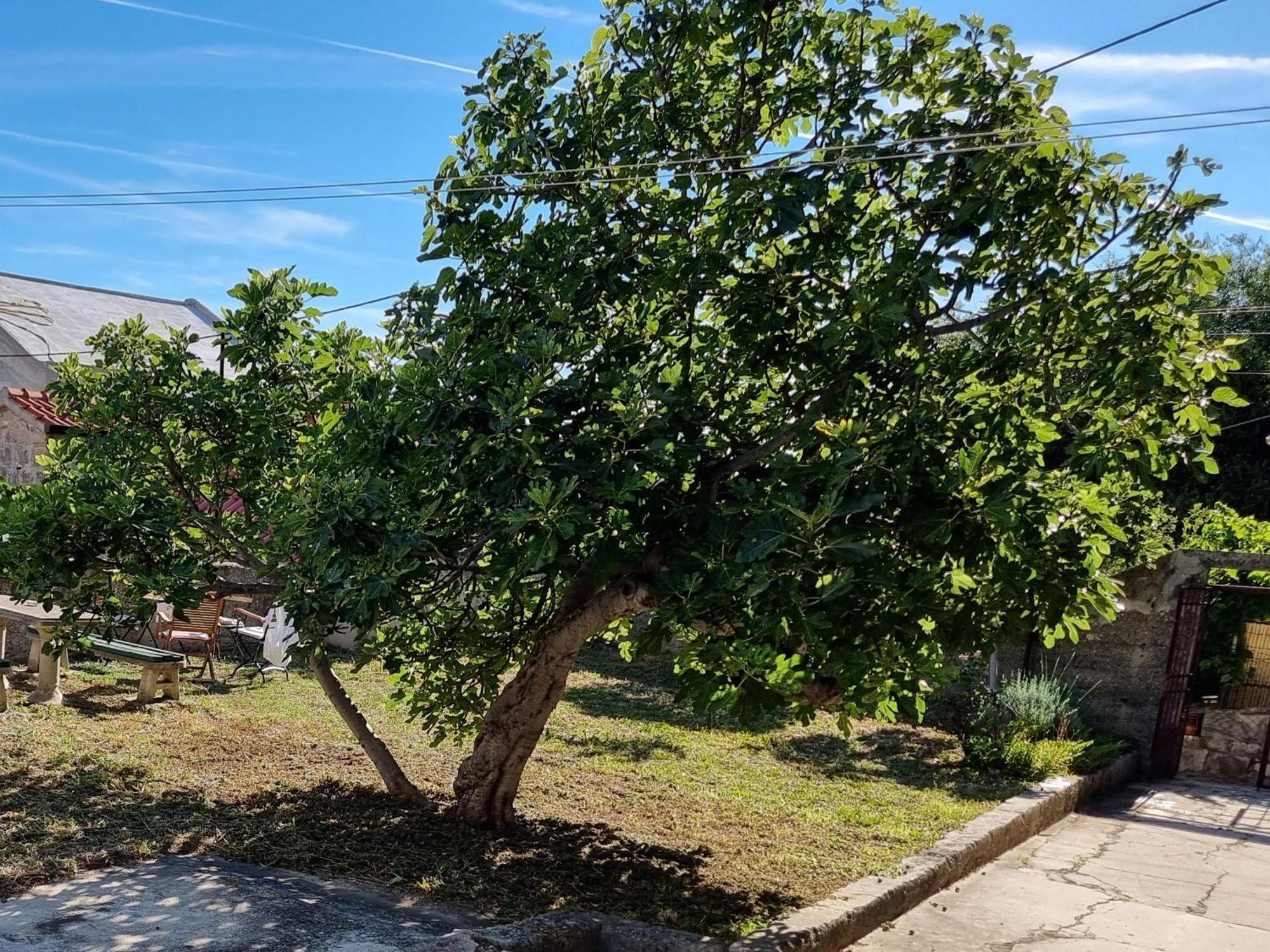 Appartement Enjoy Split, New In The Center With A Private Garden